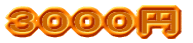 3000円